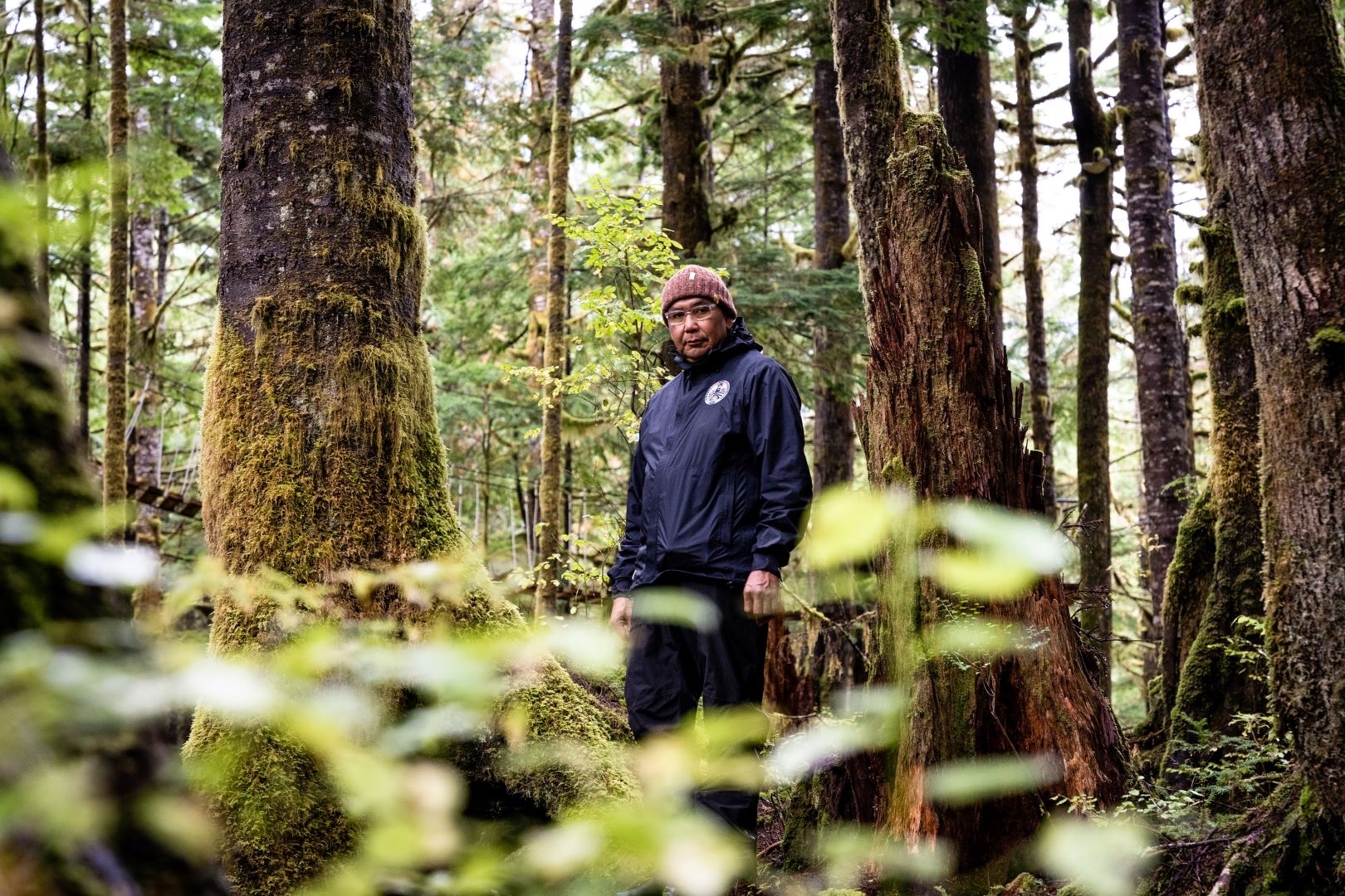 A man stands in an old-growth forest.