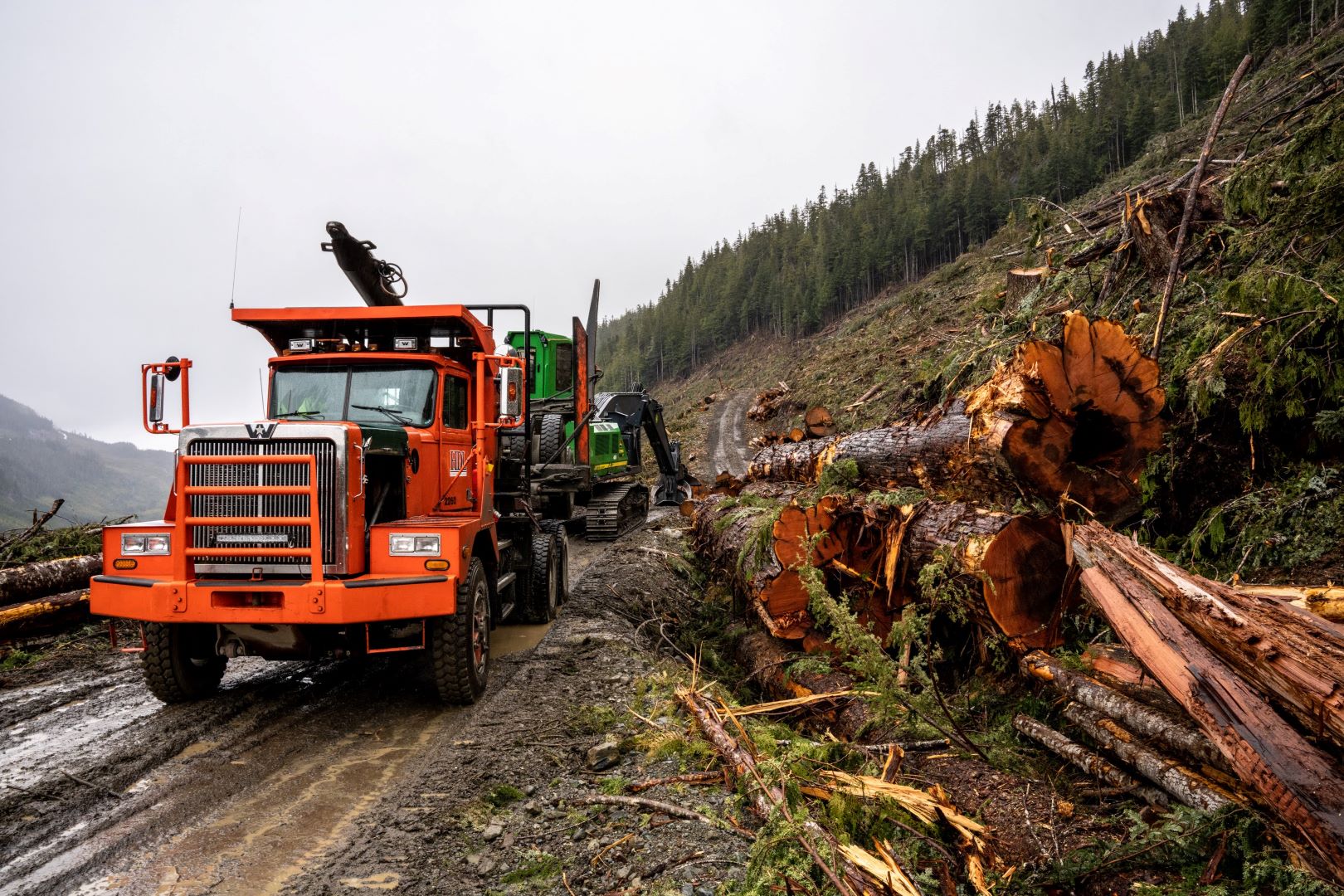 A logging truck sits beside recently logged old-growth trees on Northern Vancouver Island.