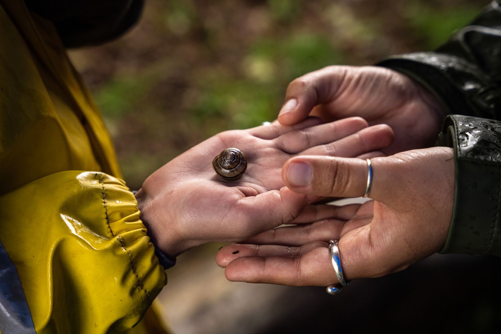A child holds a snail in their hand under the watchful eyes of an environmental educator.